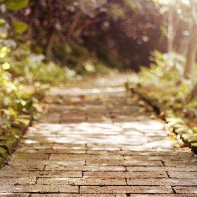 星空体育app手机app下载